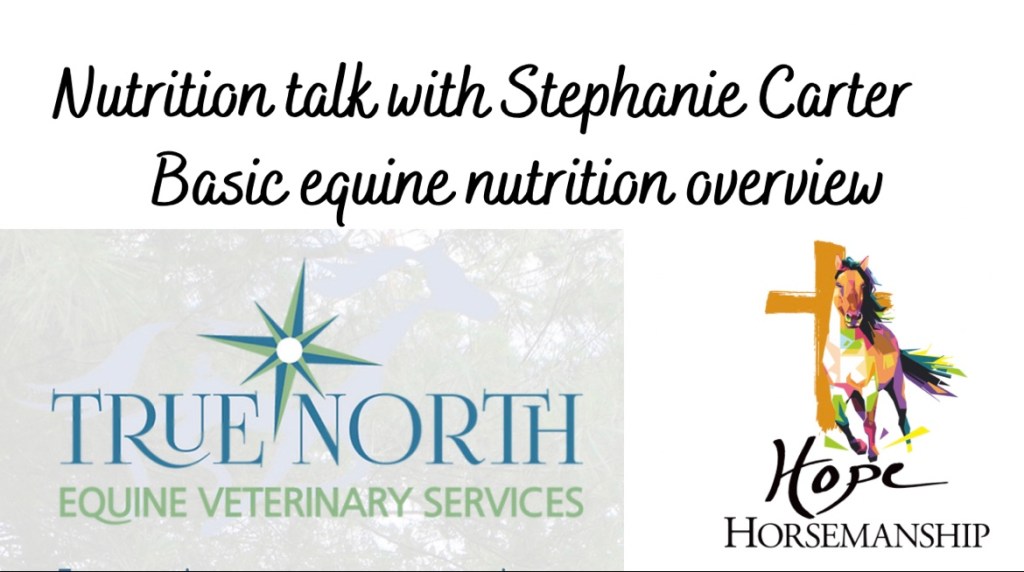 Nutrition Chat… the basics