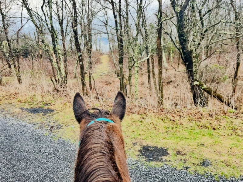 Path to Vermont Series: Training V&nbsp;Testing