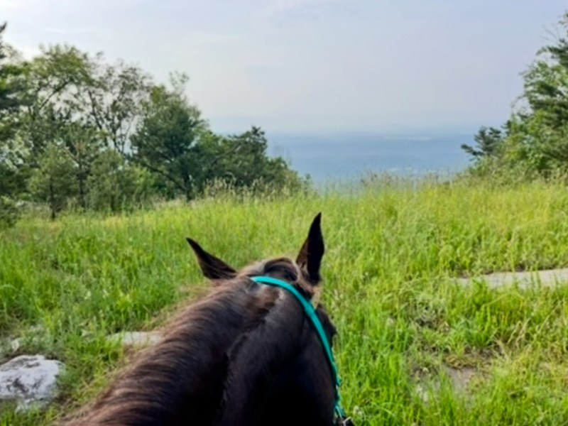 A Beast of a&nbsp;Test